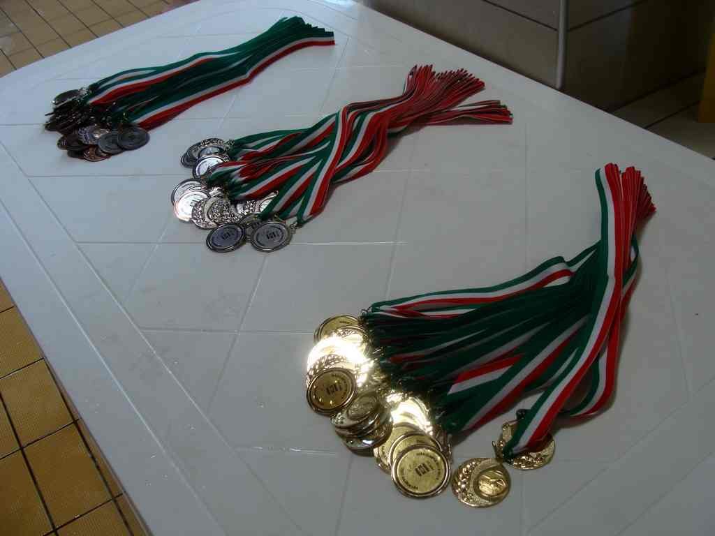 Diákolimpia 2013