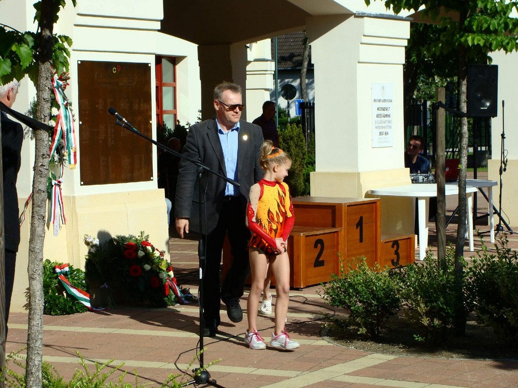 Magyar sport napja 2014