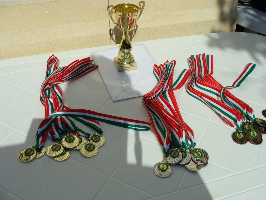 Magyar sport napja 2014