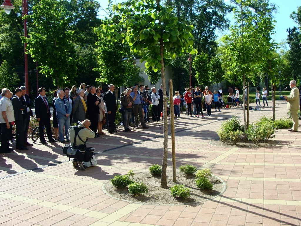 Magyar sport napja 2014