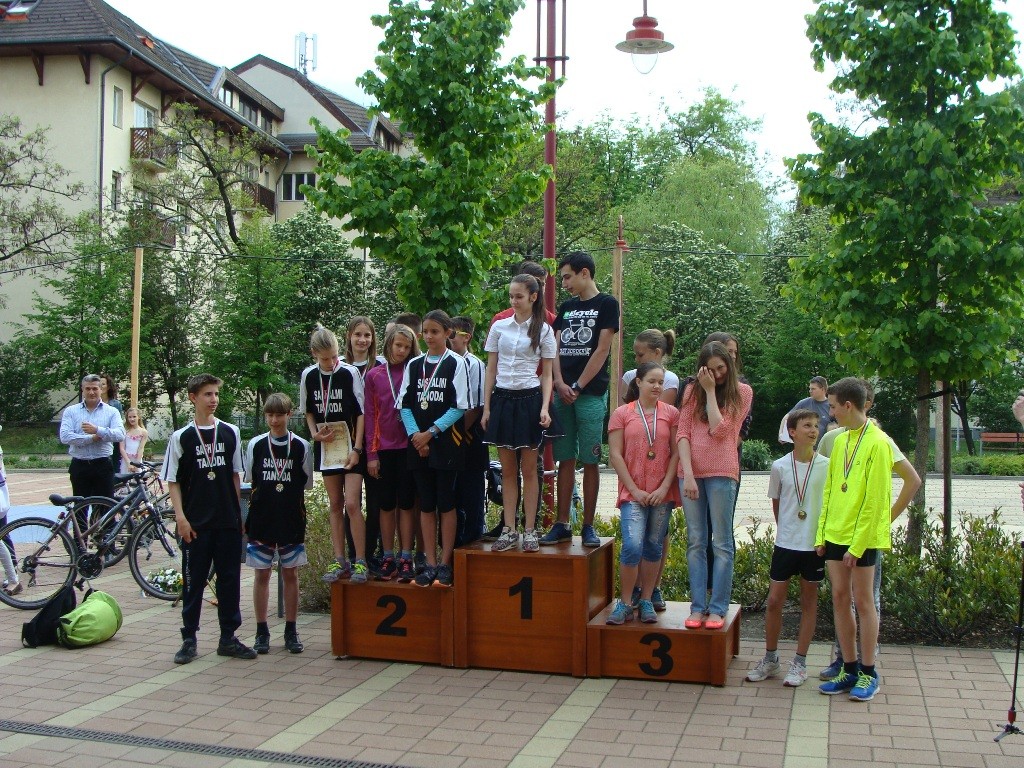 Magyar sport napja 2015